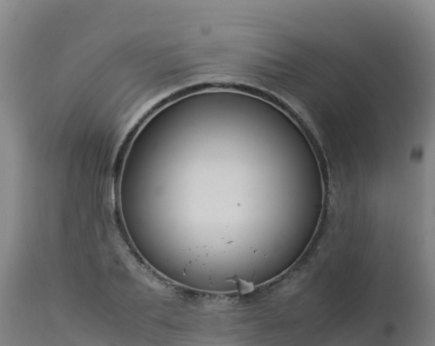 X0000112900887200908281722