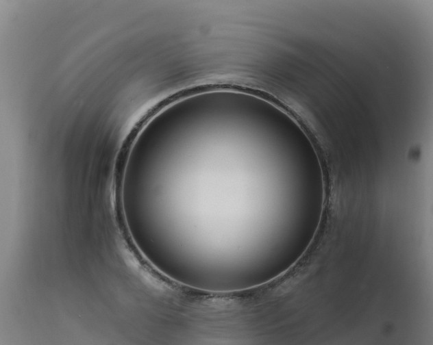 X0000112900888200908281722