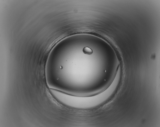 X0000112900889200908281722