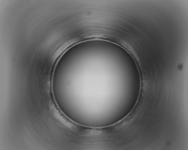 X0000112900890200908281722