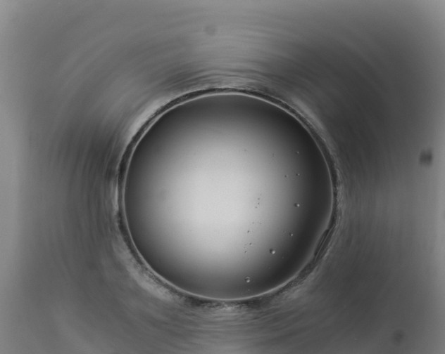 X0000112900891200908281722