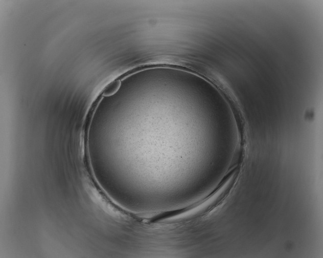 X0000112900892200908281722