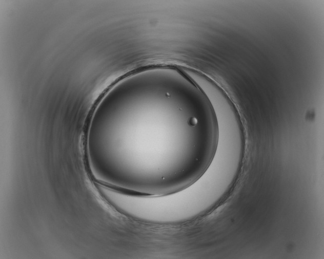 X0000112900893200908281722