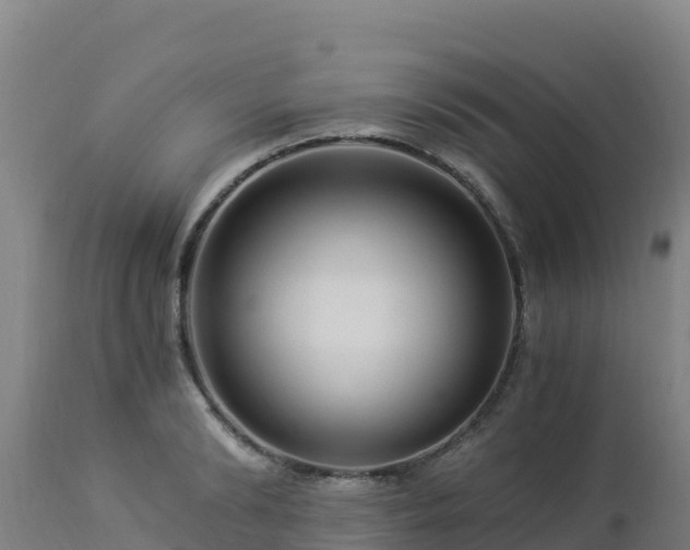 X0000112900894200908281722