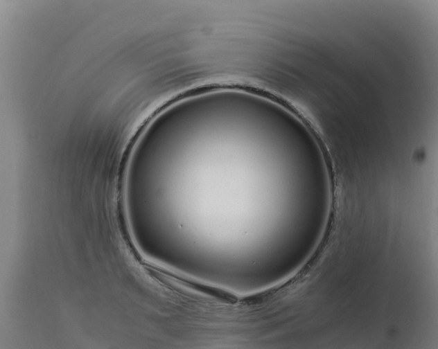 X0000112900895200908281722