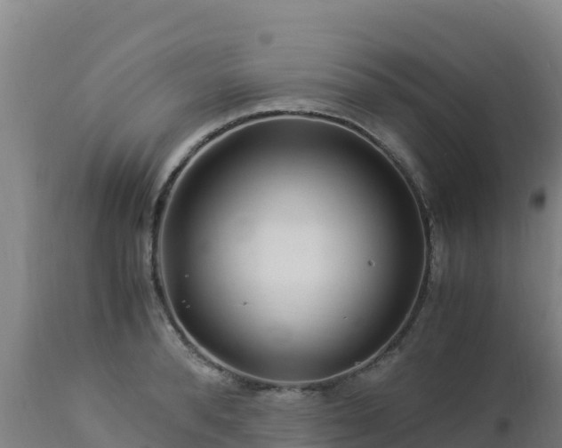 X0000112900896200908281722