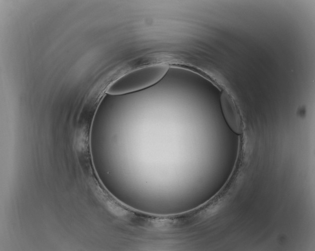 X0000112900897200908281722