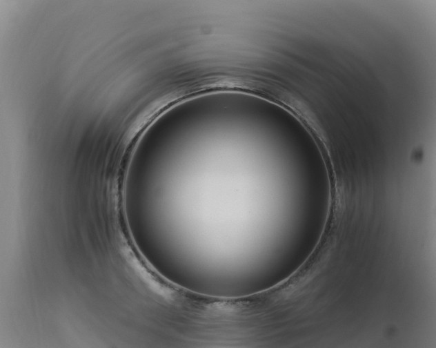 X0000112900898200908281722