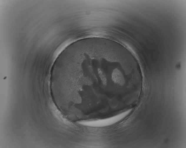 X0000112900899200908281722