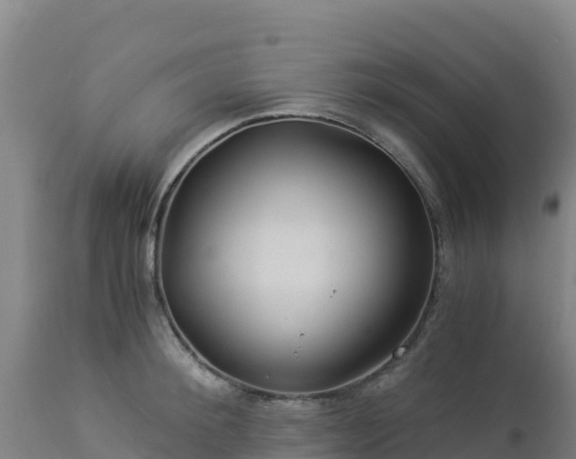 X0000112900900200908281722