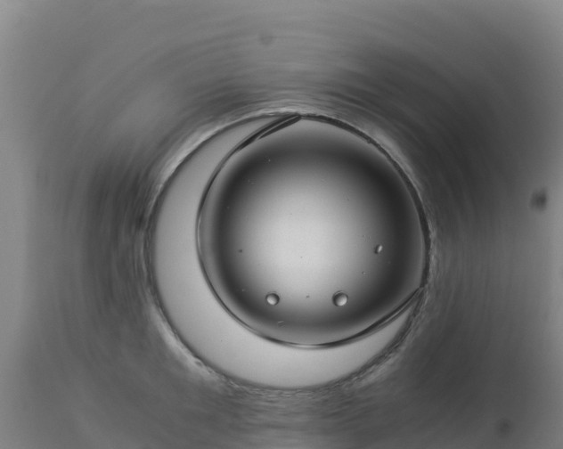 X0000112900901200908281722