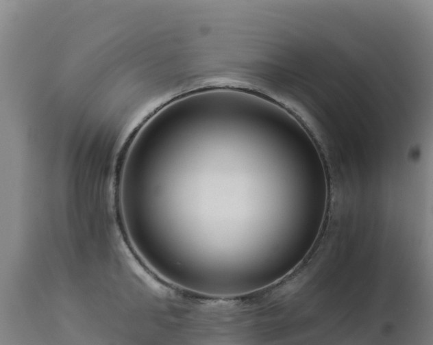 X0000112900902200908281722