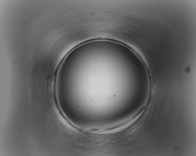 X0000112900903200908281722