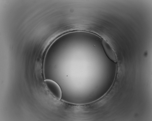 X0000112900904200908281722