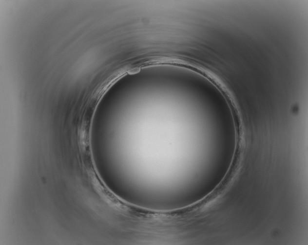 X0000112900905200908281722