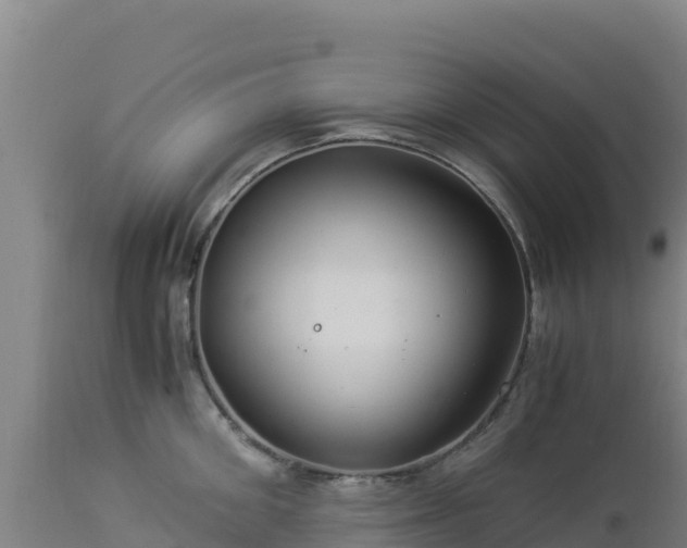 X0000112900906200908281722