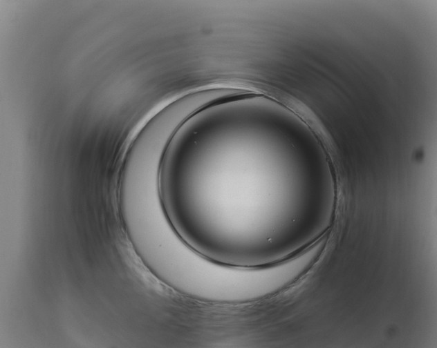 X0000112900908200908281722