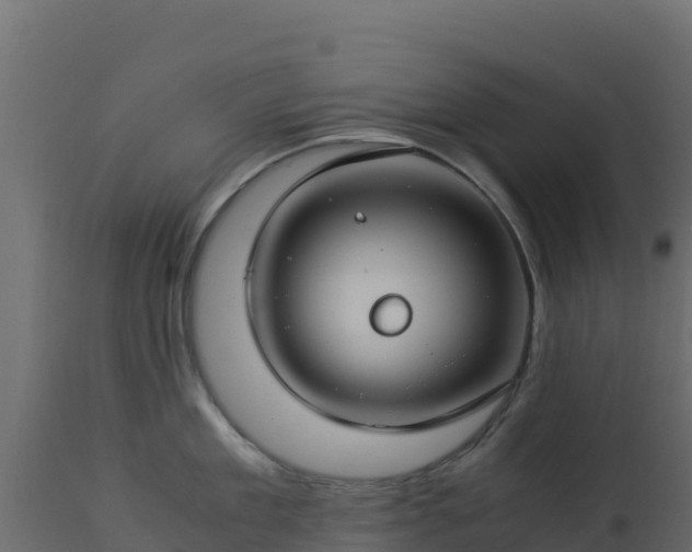 X0000112900909200908281722