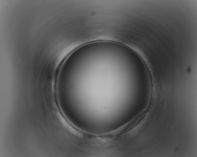 X0000112900910200908281722