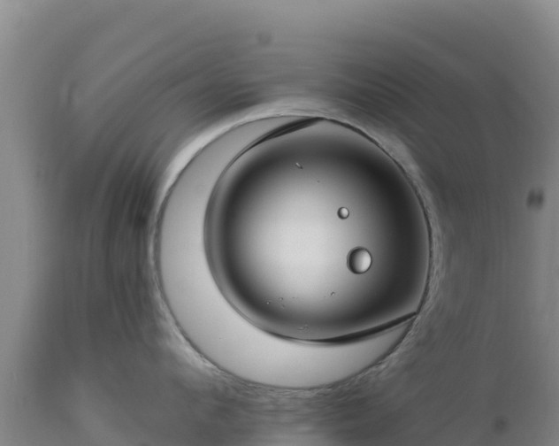 X0000112900912200908281722