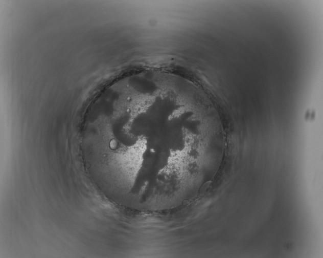 X0000112900913200908281721