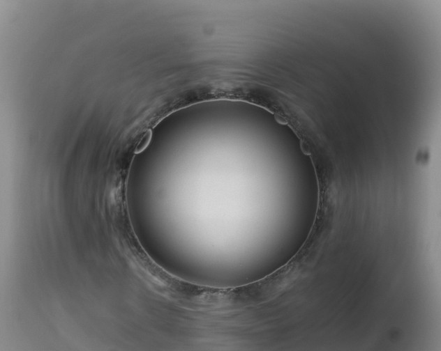 X0000112900914200908281721