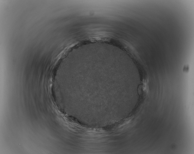 X0000112900915200908281721