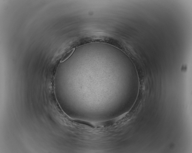 X0000112900916200908281721