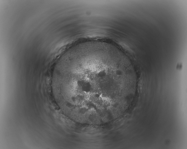 X0000112900917200908281721