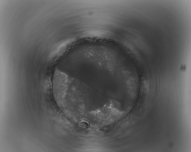 X0000112900918200908281721