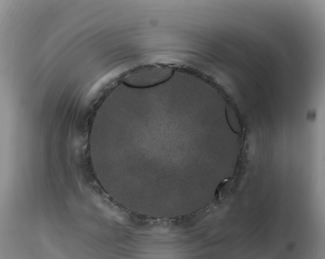 X0000112900920200908281721