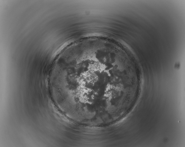 X0000112900921200908281721