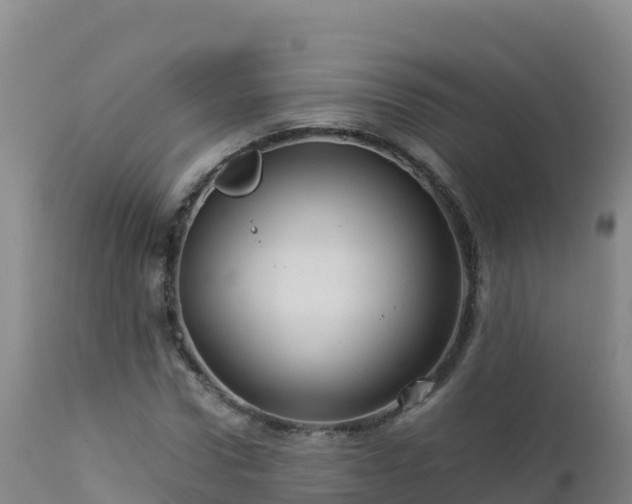 X0000112900922200908281721