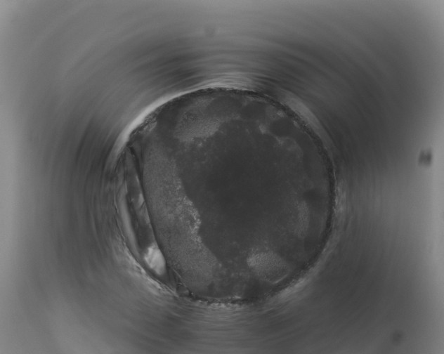 X0000112900923200908281721