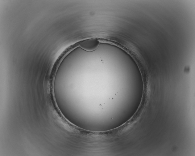 X0000112900924200908281721