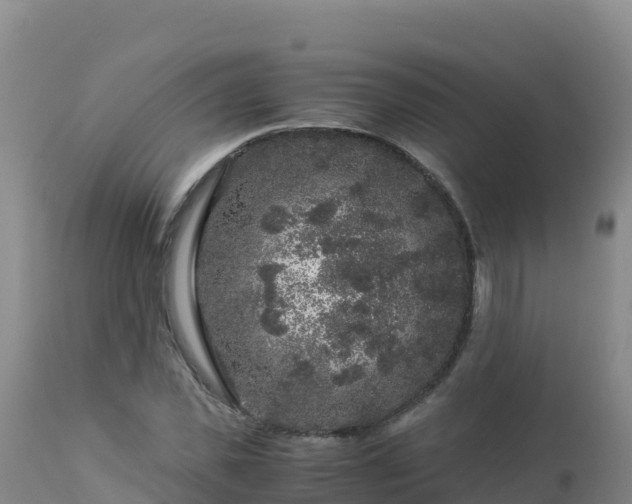 X0000112900925200908281721