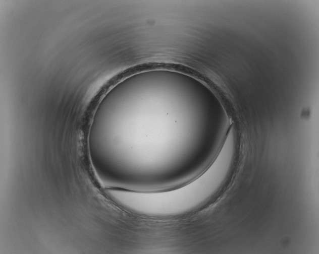 X0000112900926200908281721