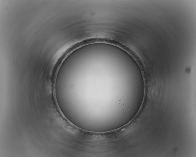 X0000112900927200908281721