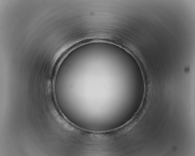 X0000112900928200908281721