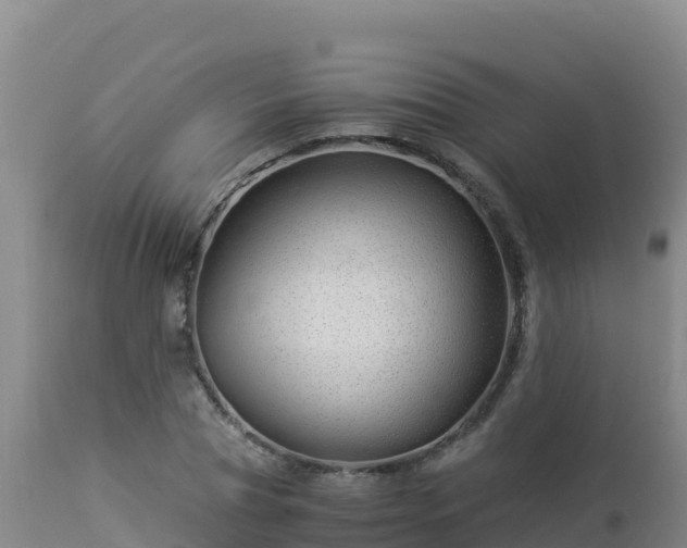 X0000112900929200908281721