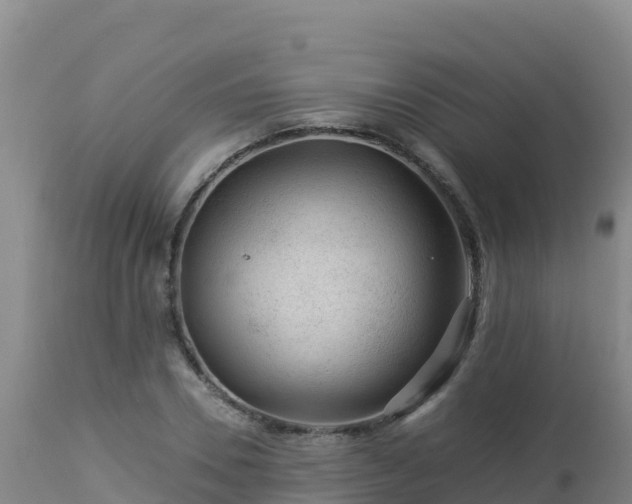 X0000112900930200908281721