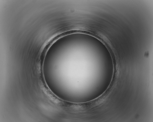 X0000112900931200908281721