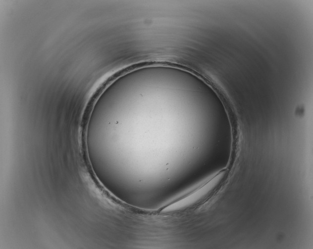 X0000112900932200908281721