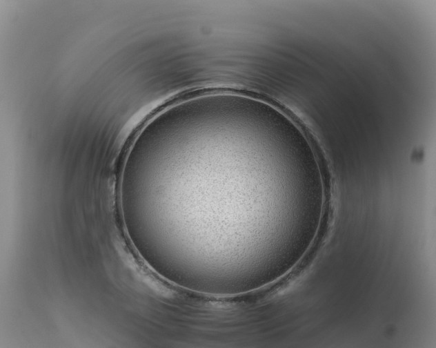 X0000112900933200908281721