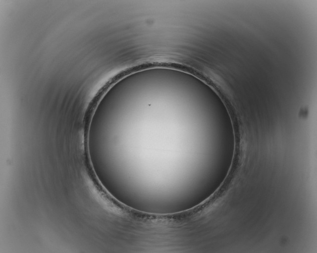 X0000112900934200908281721