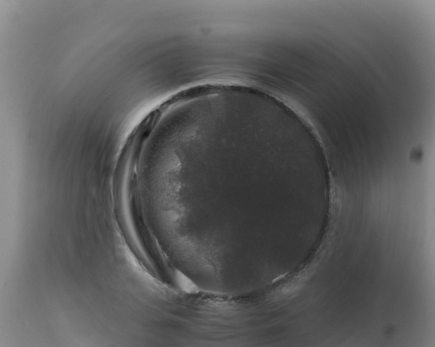 X0000112900935200908281721