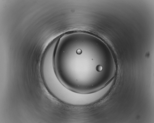 X0000112900936200908281721