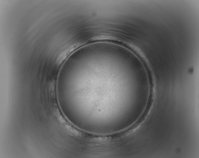 X0000112900937200908281721