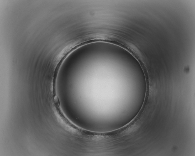 X0000112900938200908281721