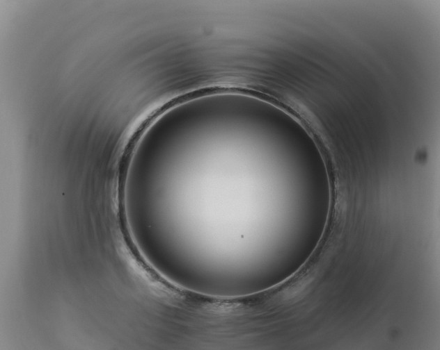 X0000112900939200908281721